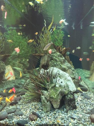 13063461 1115983395110258 6691228110531603303 o